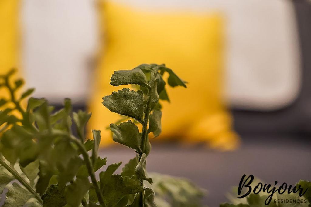 Spacious 2Br-1Ba - Grassmarket - Free Parking By Bonjour Residences Edinburgh Eksteriør billede
